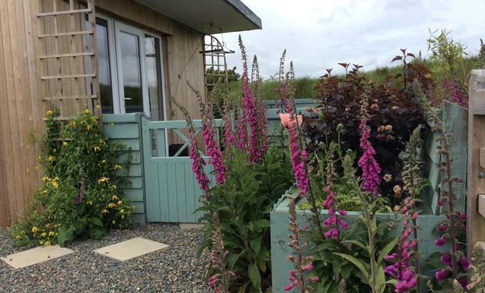 Gorgeous tiny house in Pembrokeshire's Preseli hills